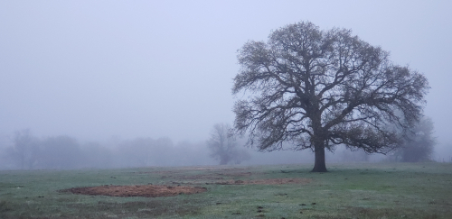 Welcome to Hearth&nbsp;Wyrd!